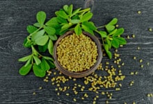 ماهي فوائد شرب الحلبة يوميا