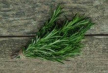 Rosmarinus officinalis