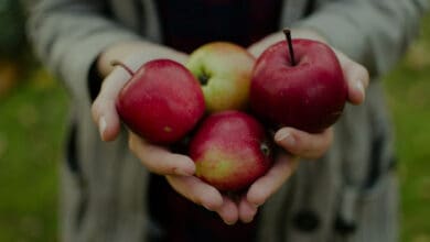7 فوائد صحية مذهلة للتفاح