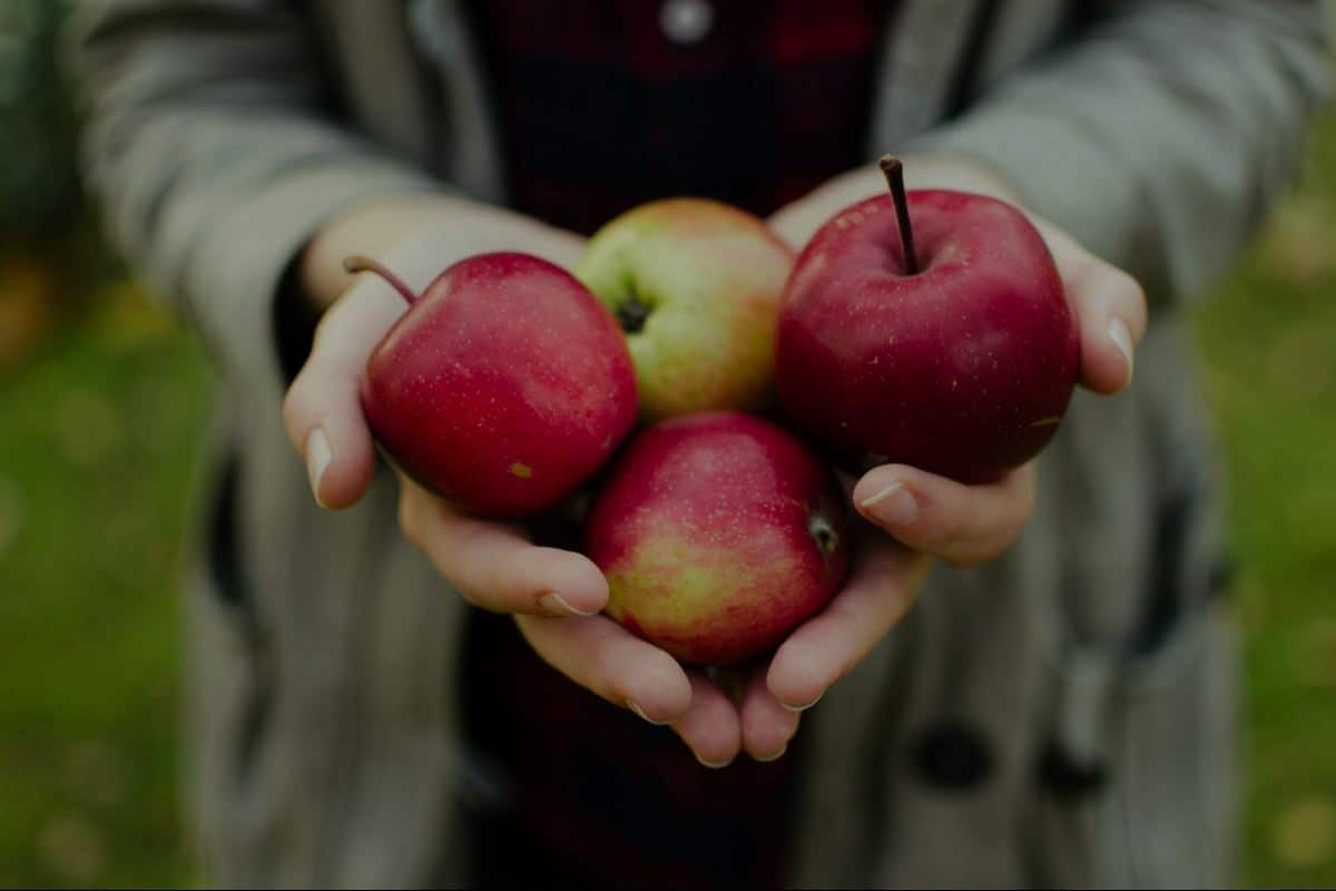 7 فوائد صحية مذهلة للتفاح